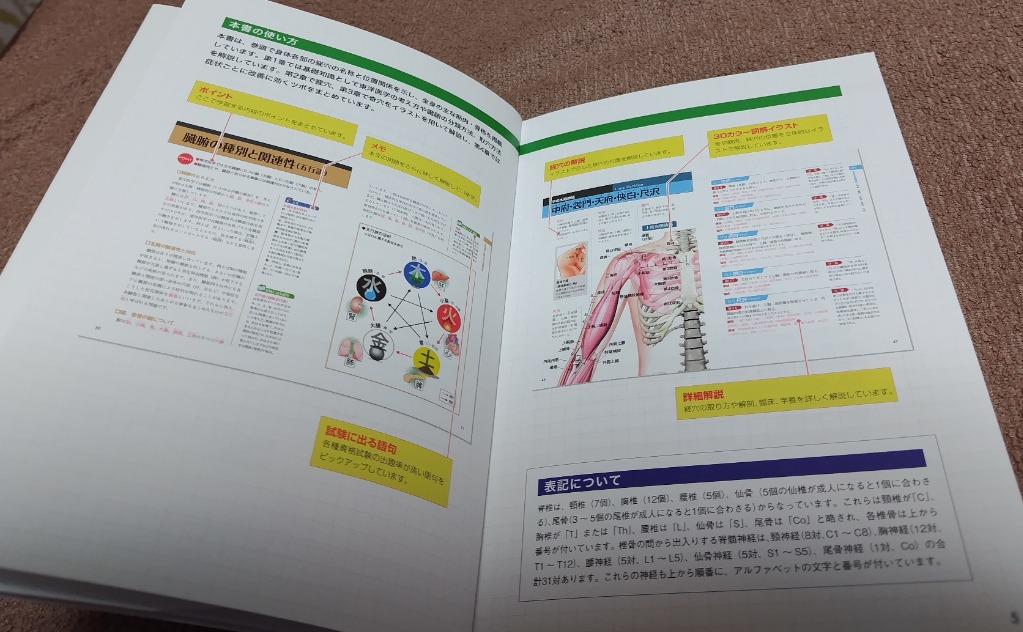 運動・からだ図解 経絡・ツボの基本 | 森 英俊 | 医学・薬学