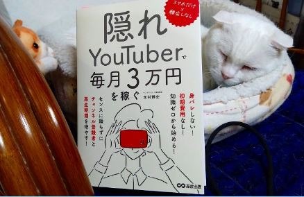隠れYouTuberで毎月3万円を稼ぐ スマホだけ×顔出しなし/木村博史