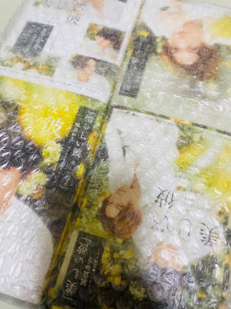 特製全面帯付き】美しい彼 1-3巻+番外編集 ライトノベルセット