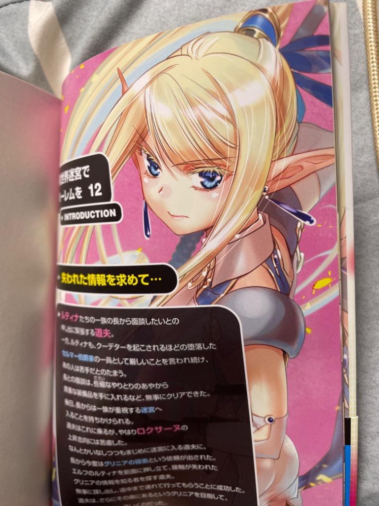異世界迷宮でハーレムを　全初版12巻セット ヒーロー文庫『異世界迷宮でハーレムを』2022年 TVアニメ化 決定