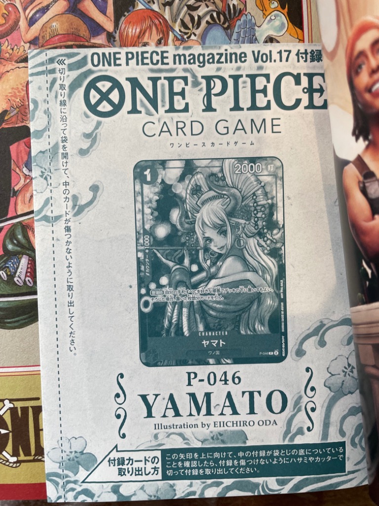ONE PIECE magazine Vol.17/尾田栄一郎