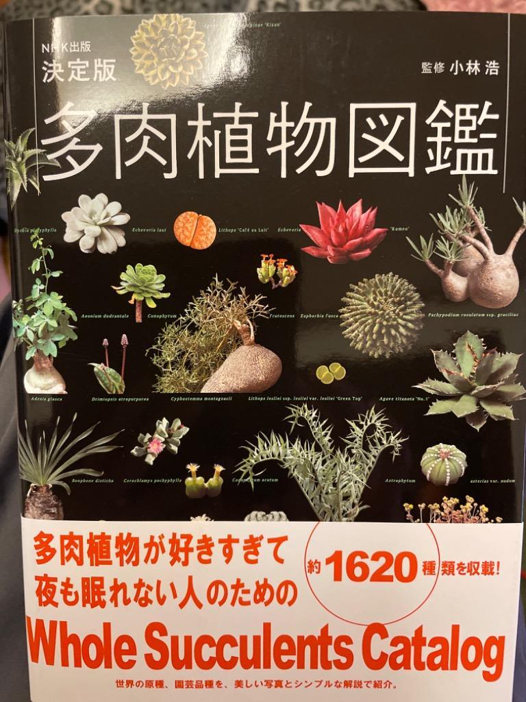 多肉植物図鑑 - DVD