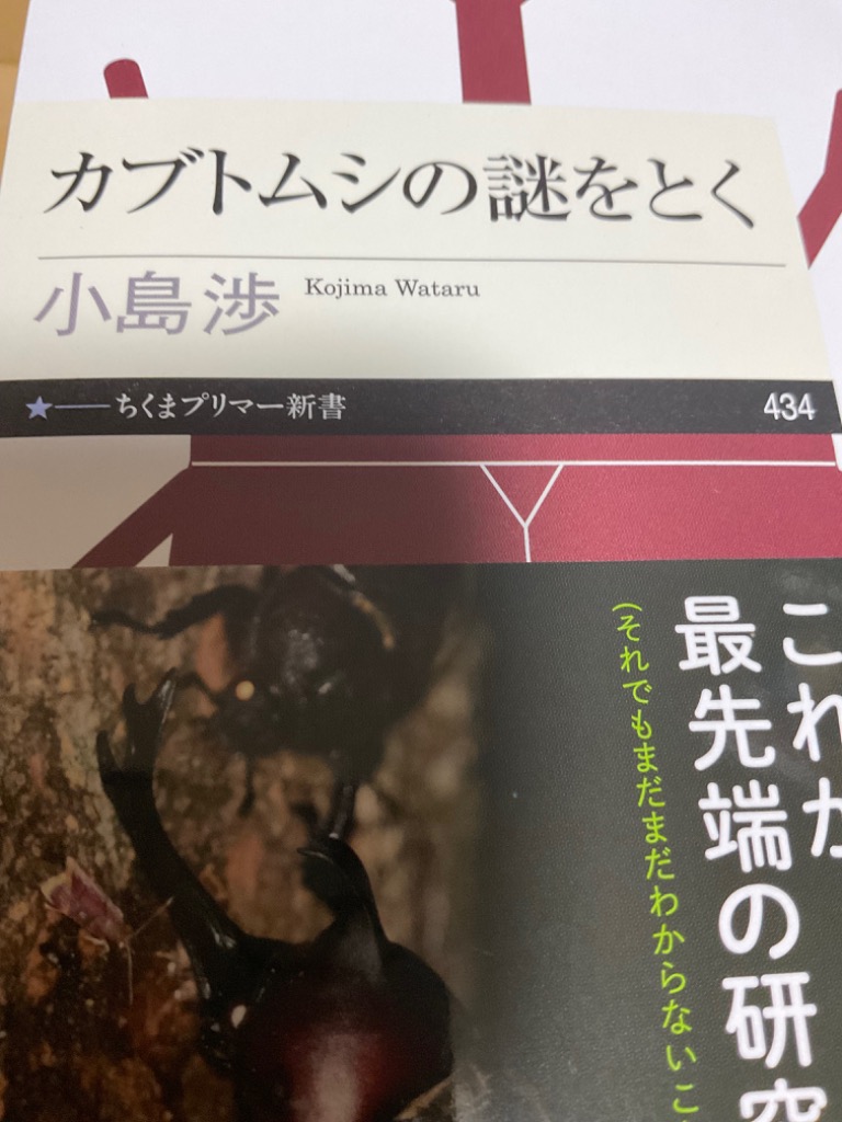 カブトムシの謎をとく （ちくまプリマー新書 ４３４） 小島渉／著 教養