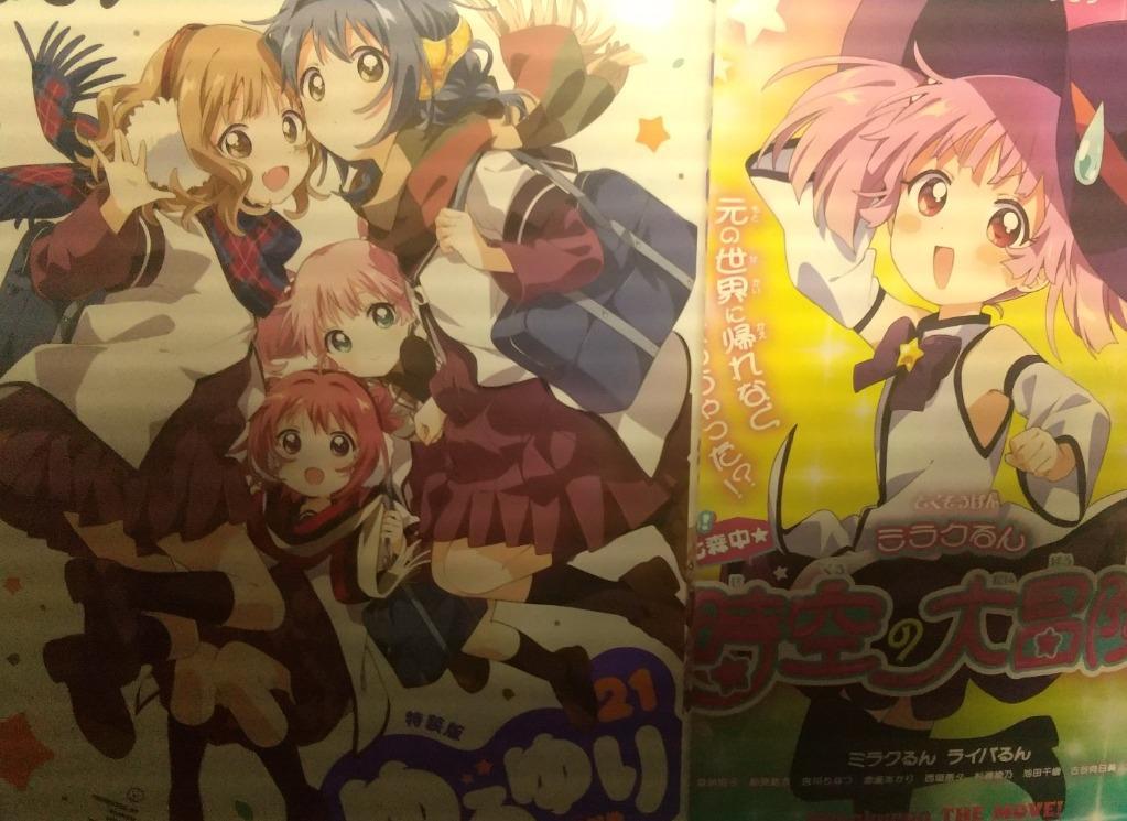 特装版 ゆるゆり 21 （Yuri－Hime COMICS） な