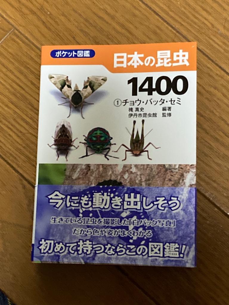 日本の昆虫１４００ １ （ポケット図鑑） 槐真史／編 伊丹市昆虫館