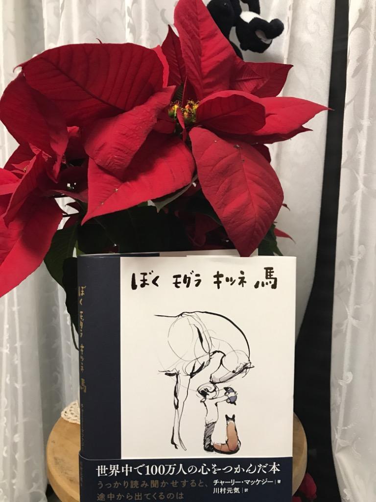 全体のレビュー画像 | 3-0