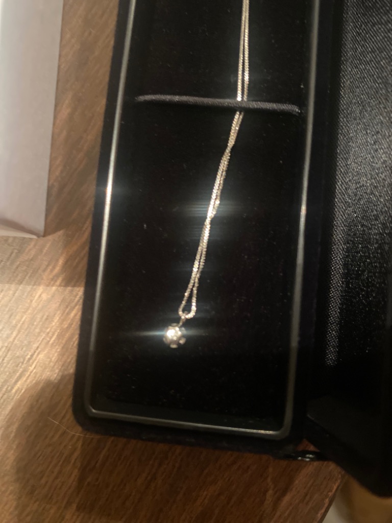 ダイヤモンド ネックレス 0.2ct プラチナ ダイヤモンド ダイヤモンド ネックレス 0.2ct プラチナ ダイヤモンド