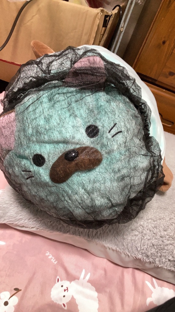 レビュー画像