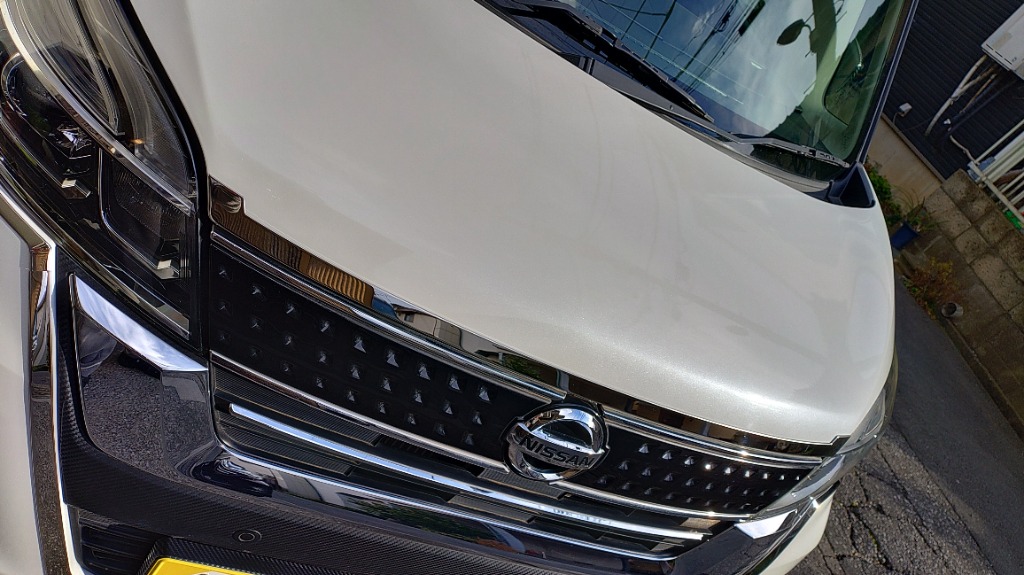 ブライツ(車) BRIGHTZ デイズルークス B21A 超鏡面ステンレス