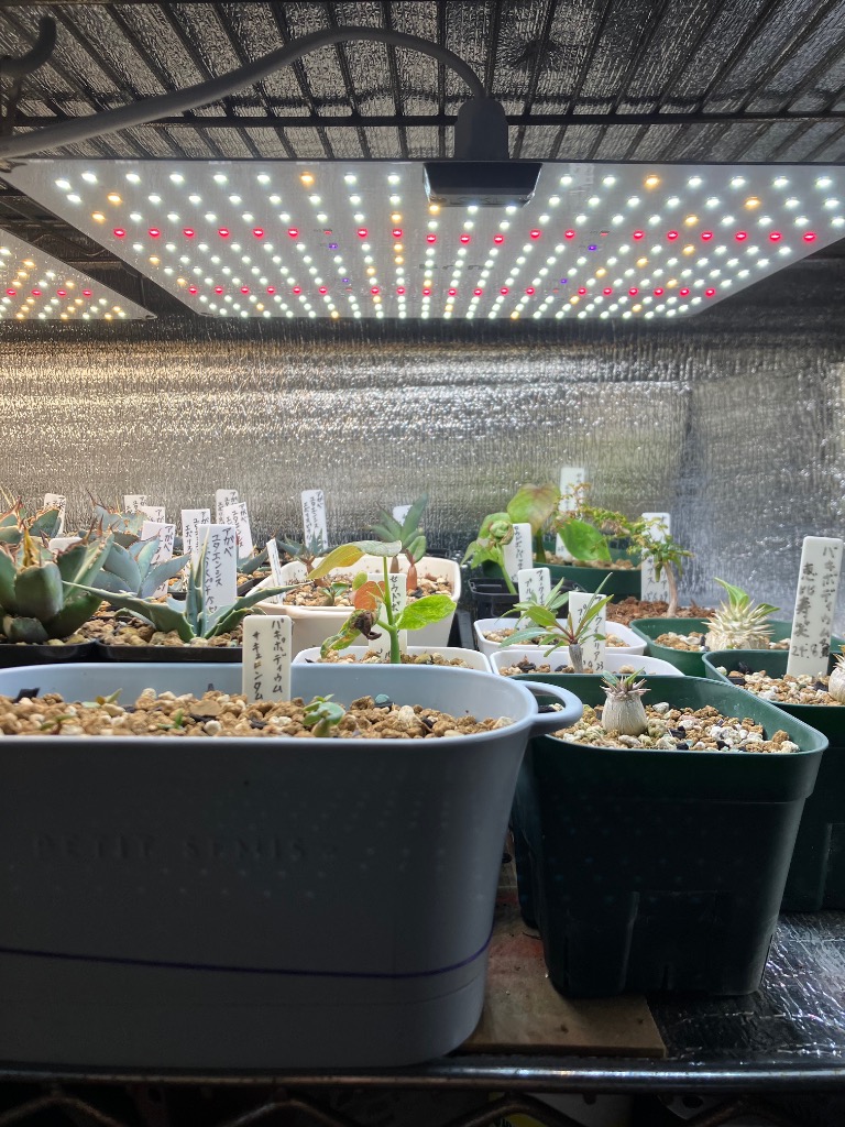 brim ブリム 植物育成ライト 45W LED PL-A [4個セット] 楽天市場】BRIM(ブリム) 公式店 楽天ランキング1位獲得【1枚