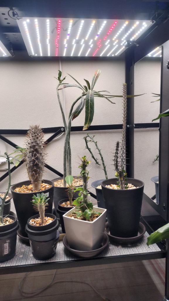 公式】BRIM(ブリム) PANEL A 防水加工 植物育成ライト LED