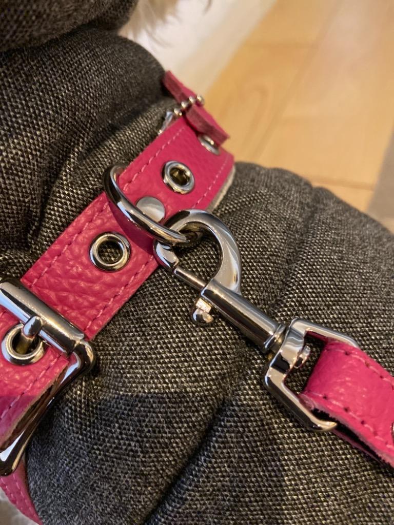 レザーアクセント・ナイロンリード Sサイズ プレミアム BUDDY BELTS（バディーベルト） 正規直輸入販売店 brindle  :bb-lea-003:brindle - 通販 - Yahoo!ショッピング