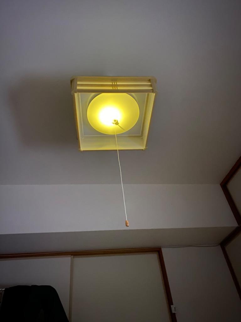 全体のレビュー画像 | 1-0