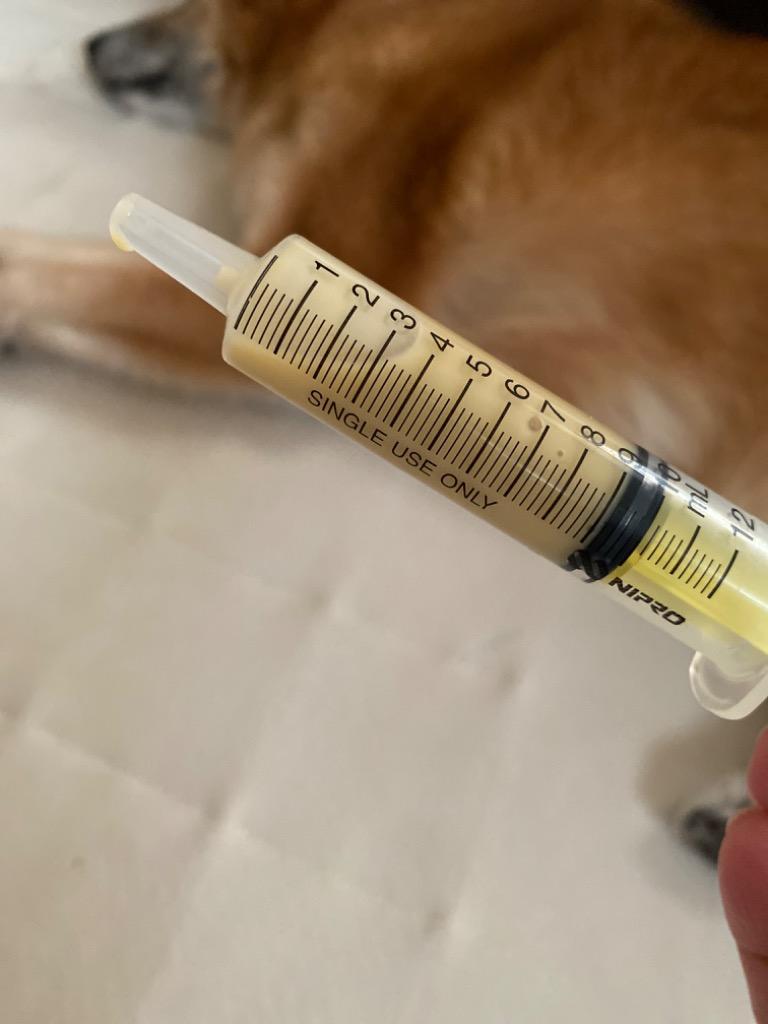 シリンジ10ml（6本セット送料無料） 動物 犬 猫 ペット用品 介護 注射器 ニプロ スポイト :nipro-10ml-6:乳酸菌ラボ - 通販 -  Yahoo!ショッピング