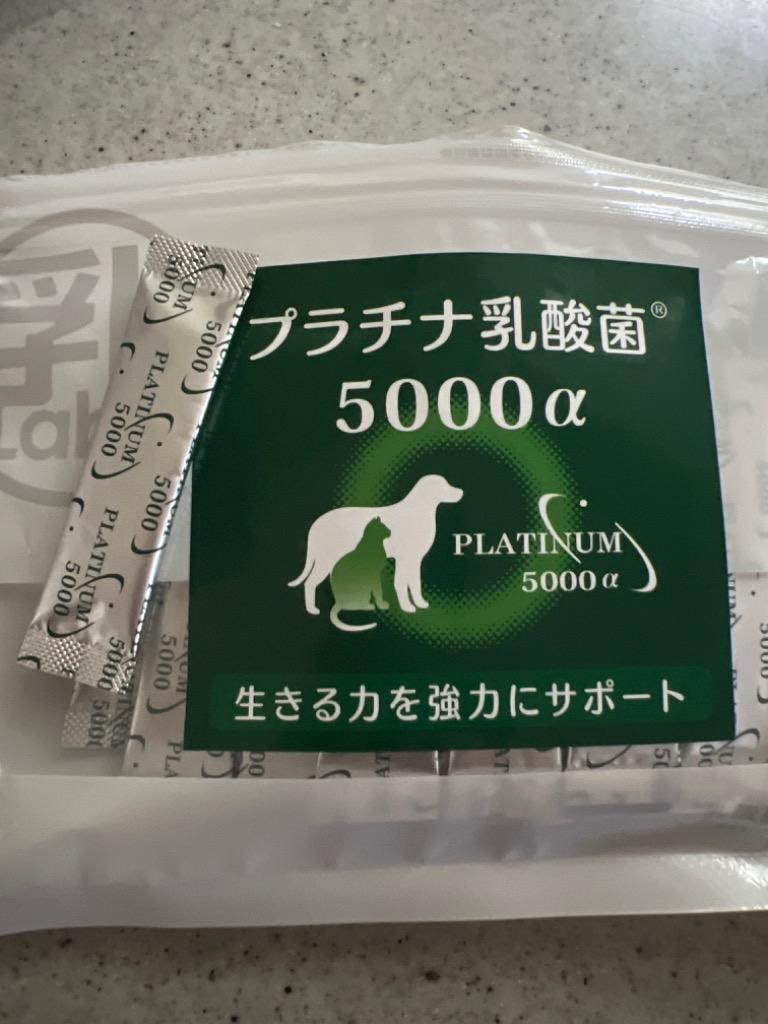 犬 猫 乳酸菌サプリ プラチナ乳酸菌5000α（顆粒タイプ１袋スティック30