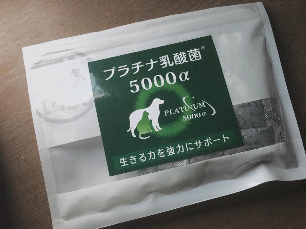 犬 猫 乳酸菌サプリ プラチナ乳酸菌5000α（顆粒タイプ１袋スティック5