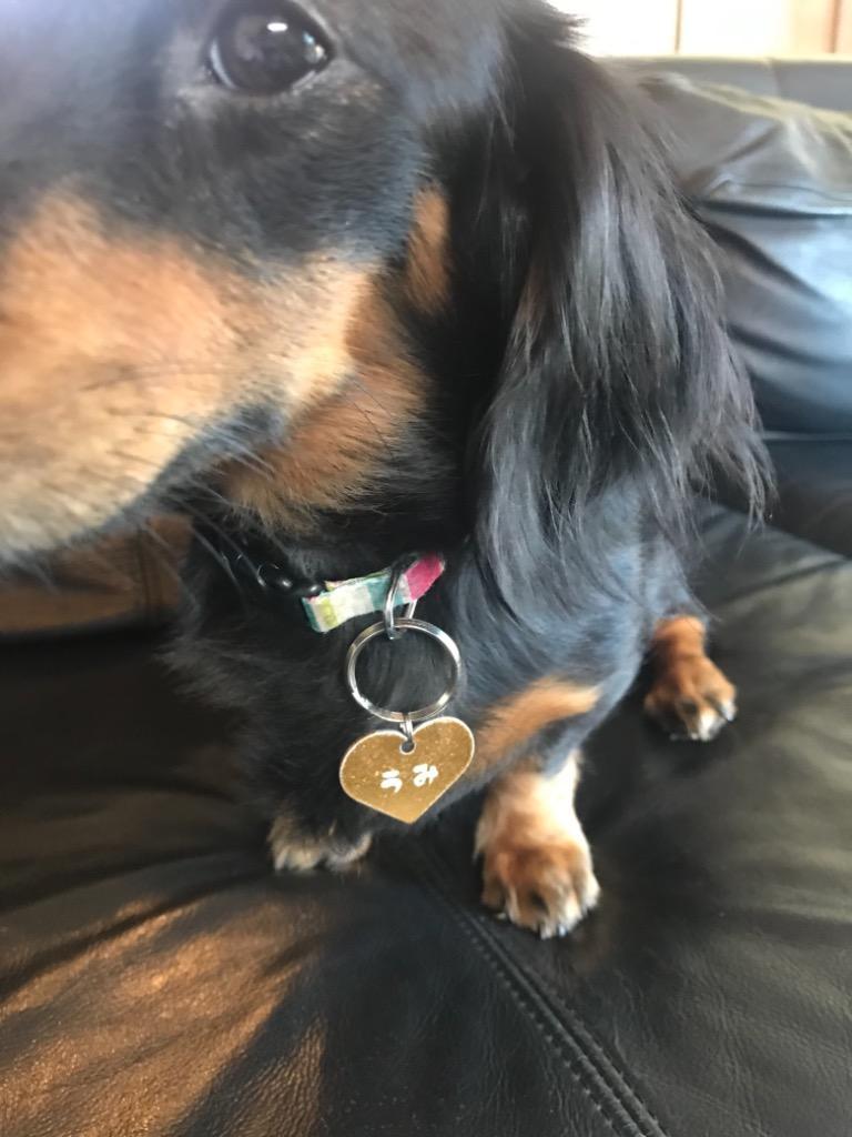 全体のレビュー画像 | 3-0