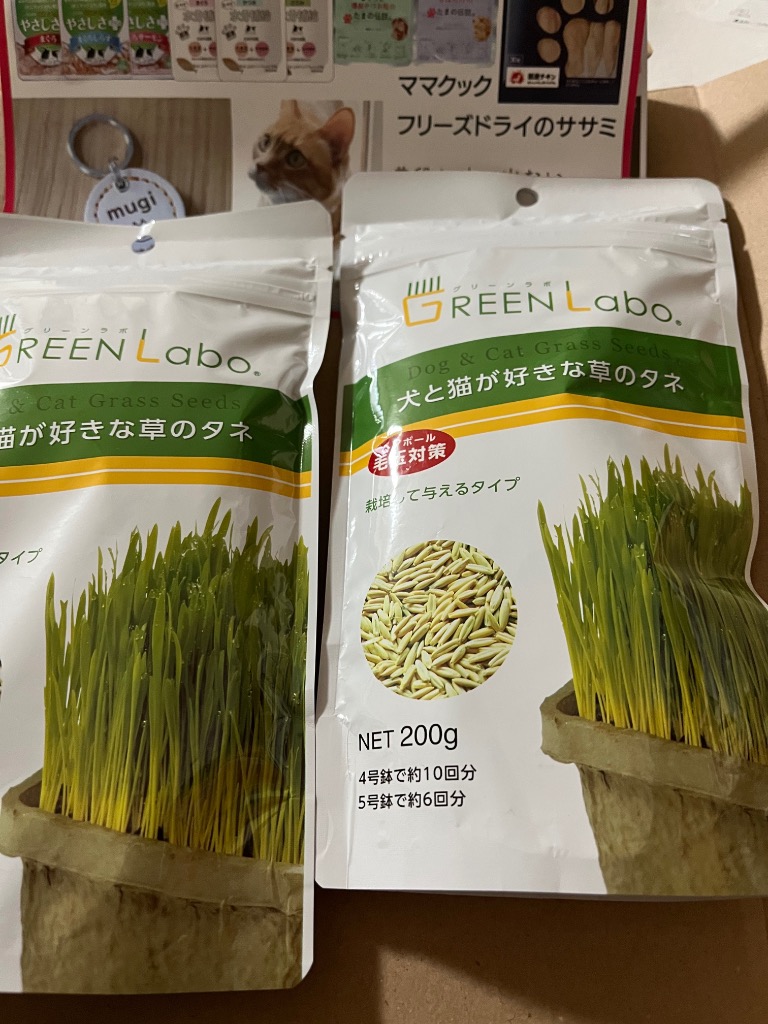 全体のレビュー画像 | 0-0