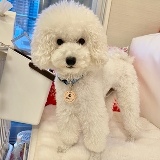 1件目のレビュー画像 | 0