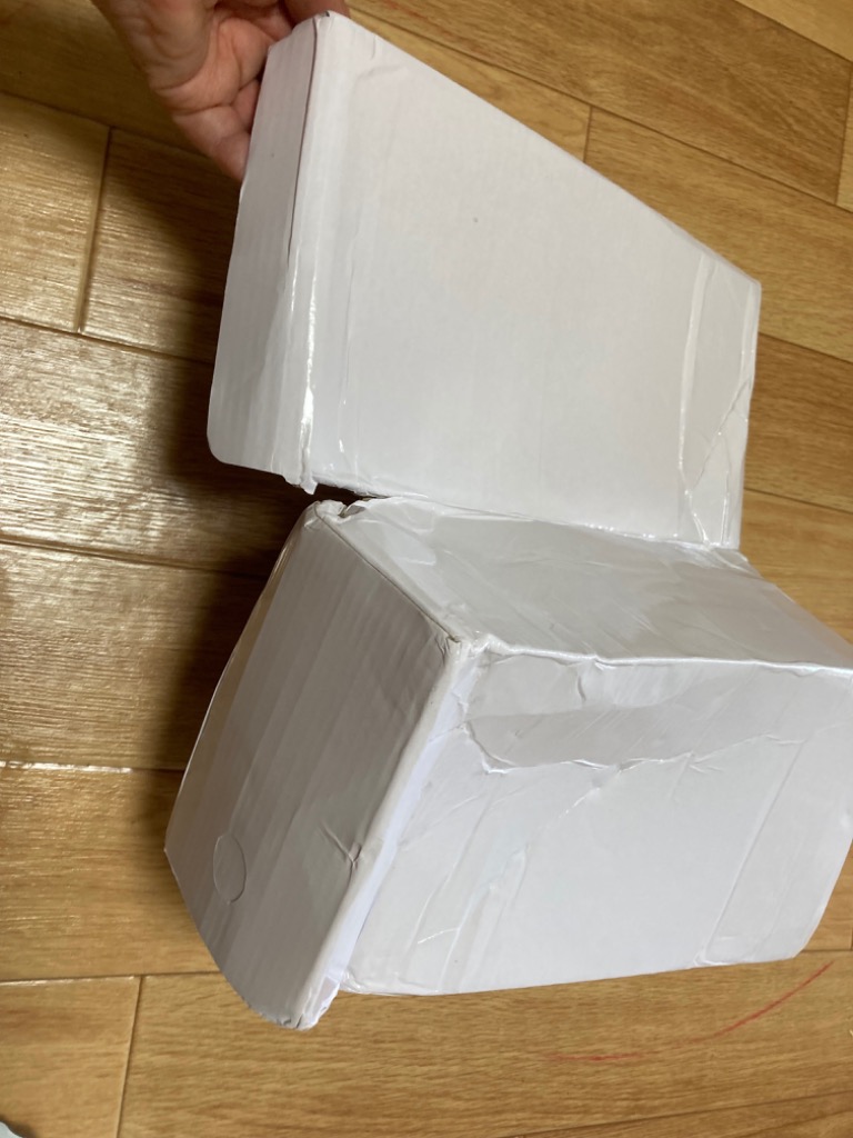 レビュー画像