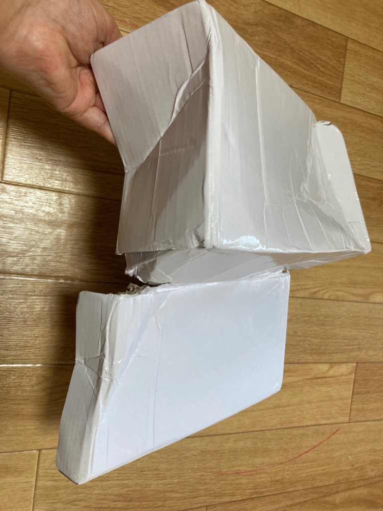 レビュー画像