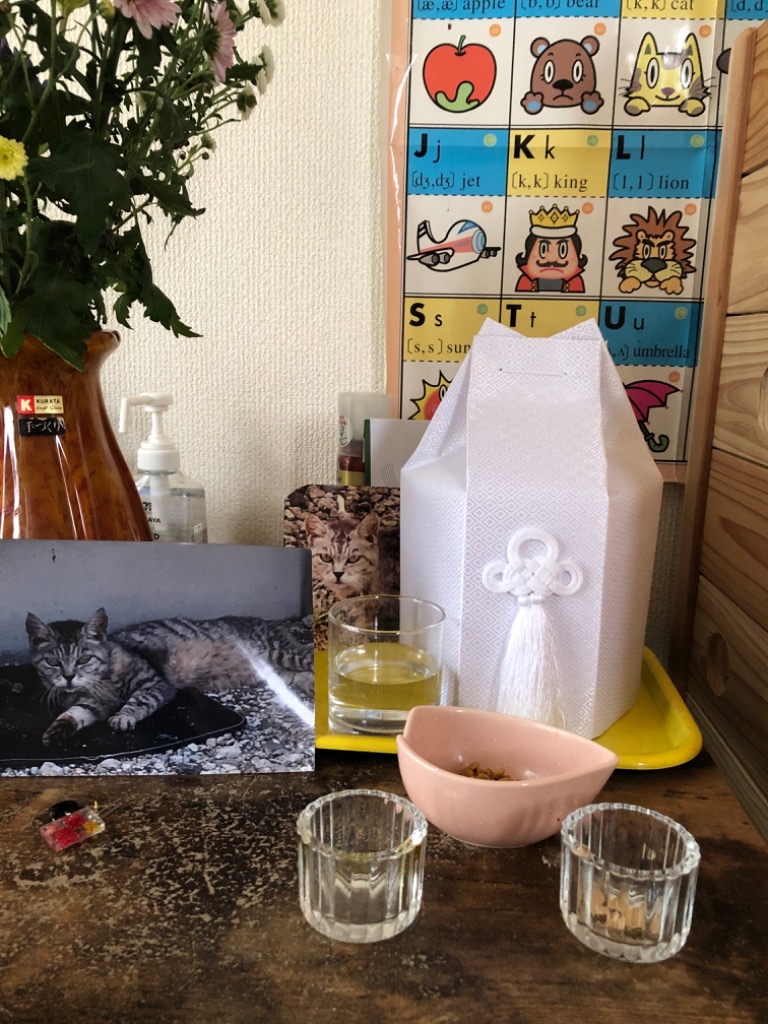 全体のレビュー画像 | 0-0