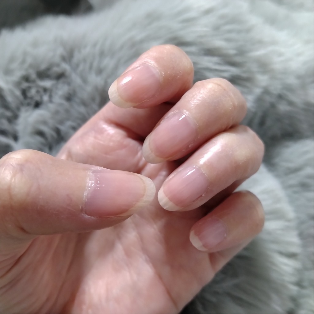 1件目のレビュー画像 | 1