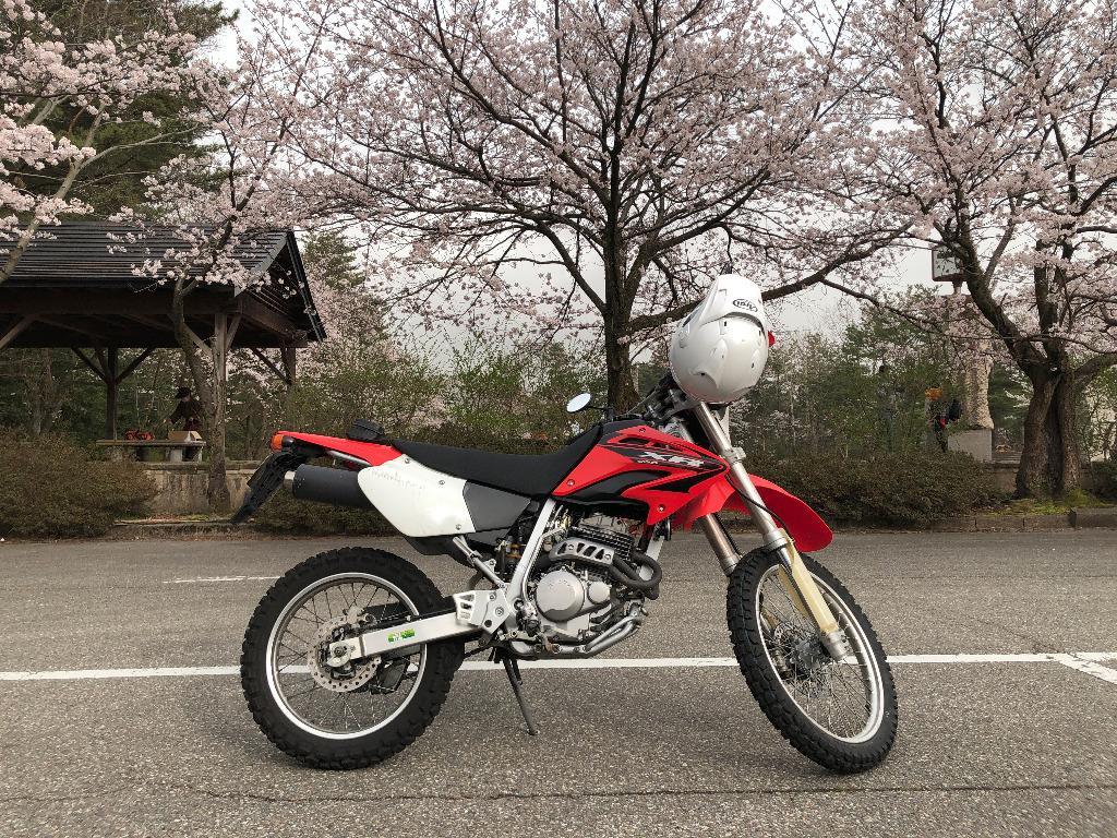 正規品／エスディージー XR 250/400 コンプリートシート スタンダード（ブラック） SDG バイク : 313519-1335906 :  モトメガネYahoo!店 - 通販 - Yahoo!ショッピング