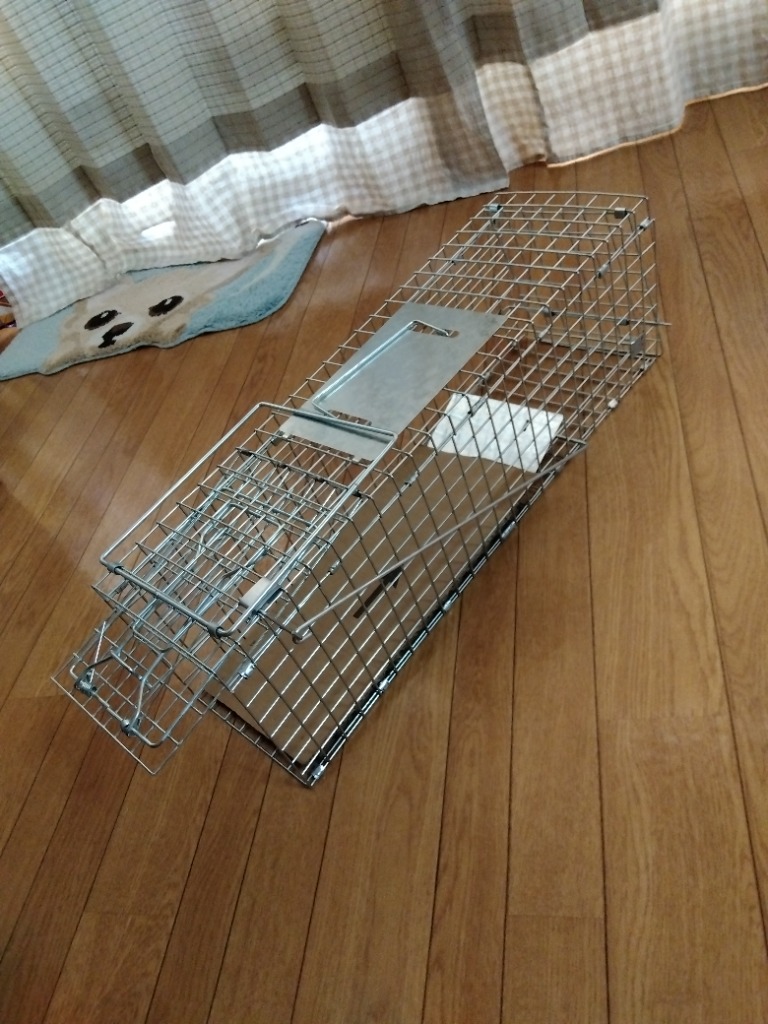 全体のレビュー画像 | 1-0
