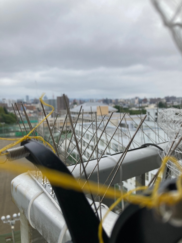 全体のレビュー画像 | 3-0