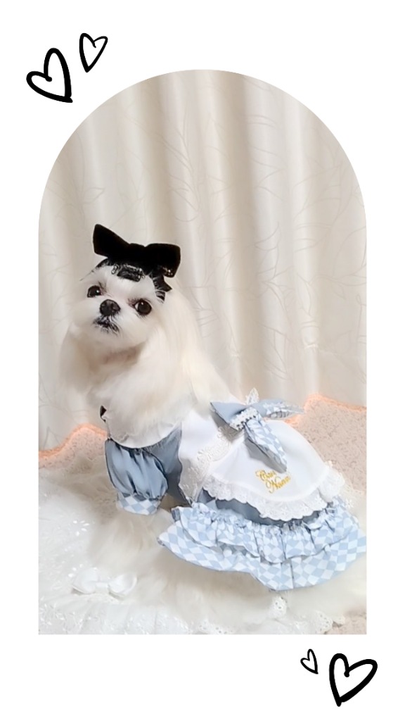 アリスセット くるみバージョン💕💕 ・ #アリスセット#コニワン