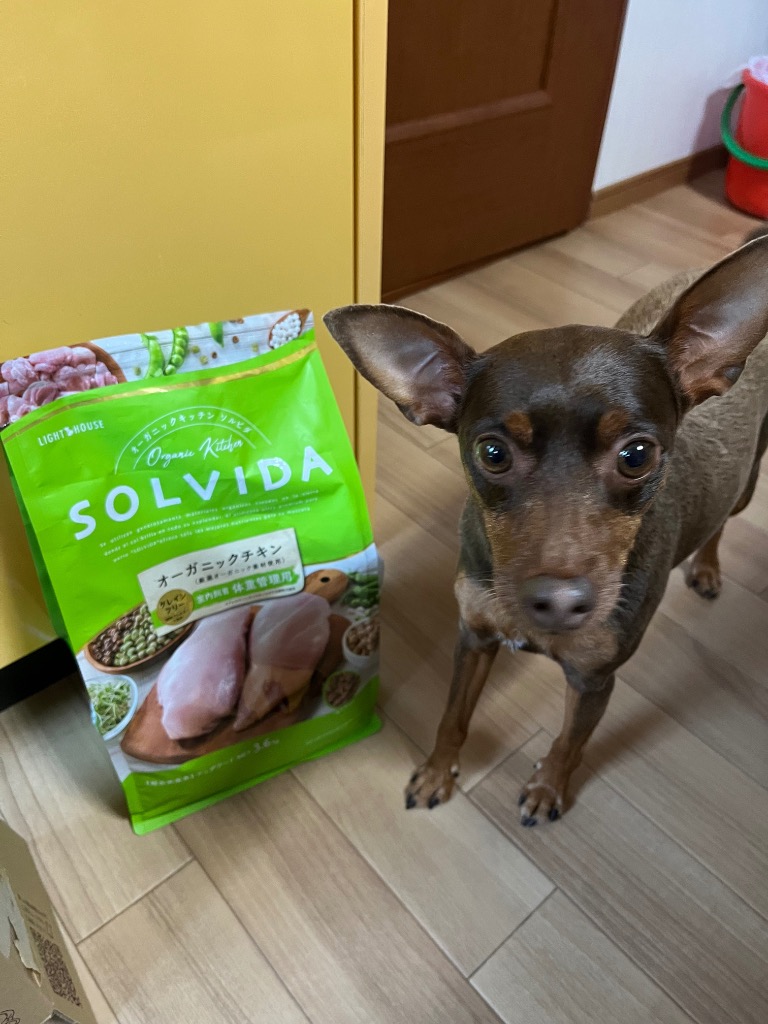 無添加おやつ付き）ソルビダ グレインフリー チキン 室内飼育