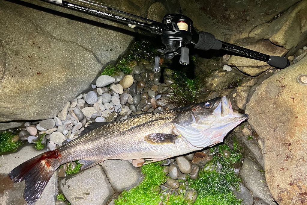 SMITH（釣り具） スミス アジングロッド ダークシャドゥEX DSEX