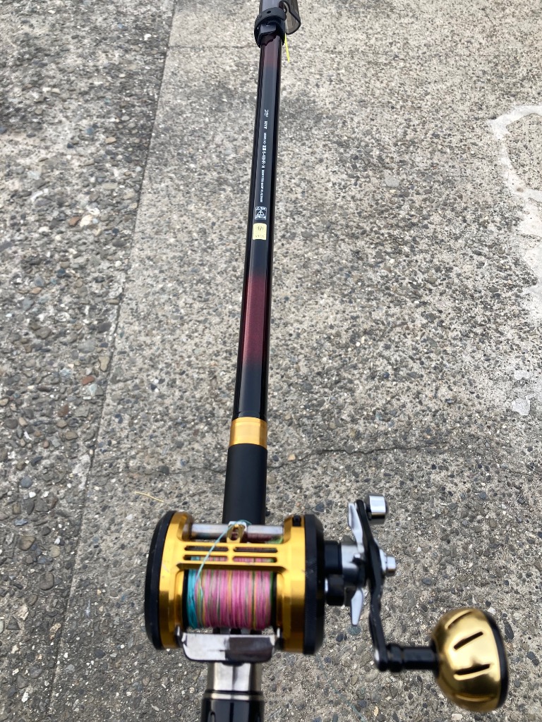 DAIWA（ダイワ） 磯竿 波濤 6-48HR・N : 釣具のキャスティング ヤフー