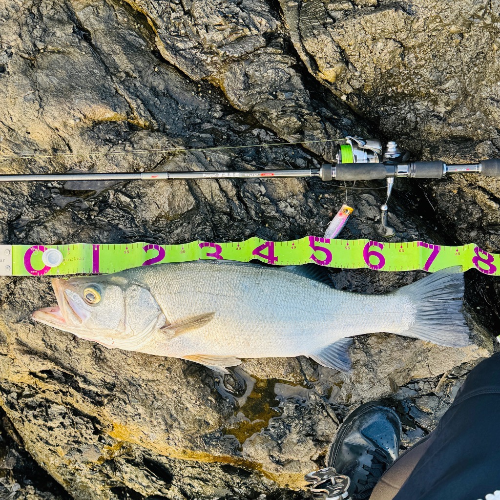 1件目のレビュー画像 | 0