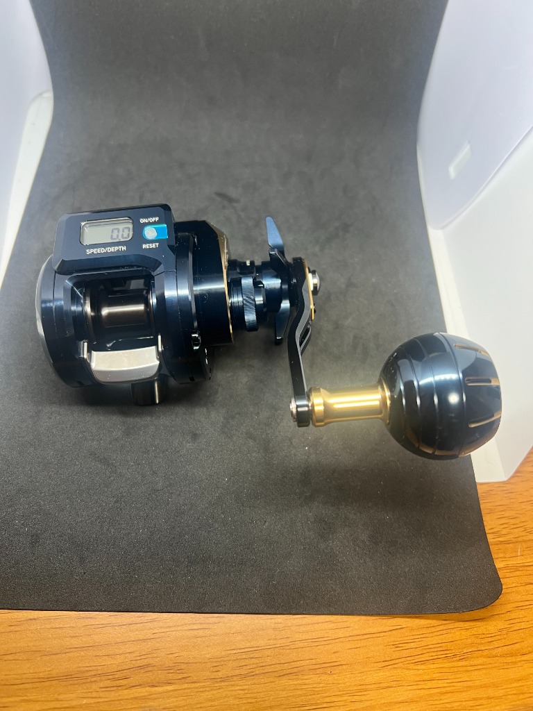 DAIWA（ダイワ） ベイトリール 25ソルティガIC 100-C(右) : 釣具の