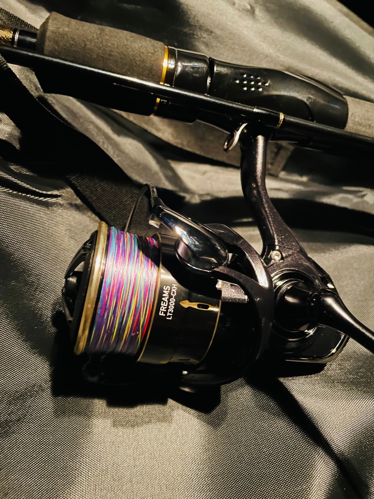 DAIWA（ダイワ） スピニングリール 26フリームス LT4000-CXH : 釣具の