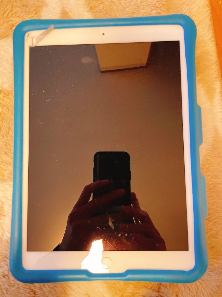 全体のレビュー画像 | 1-0