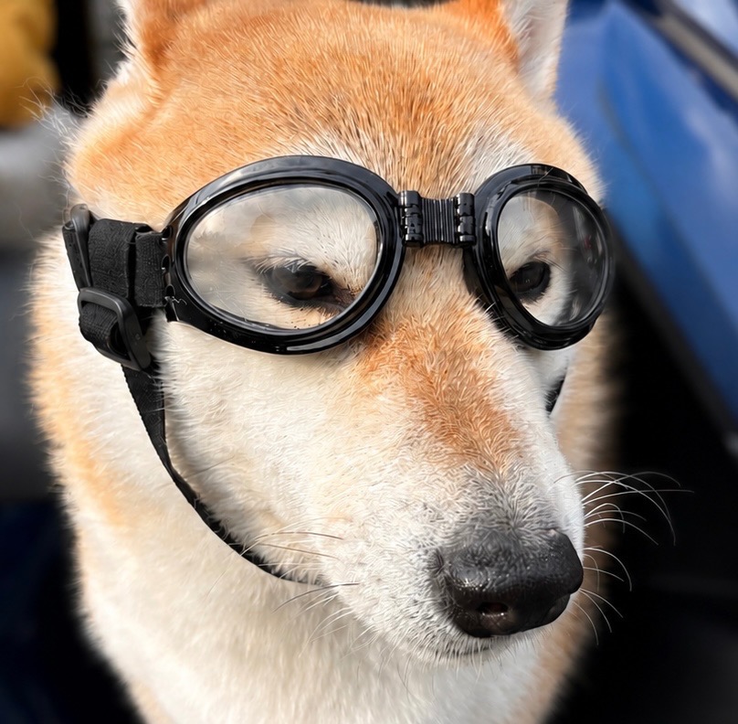 1件目のレビュー画像 | 0