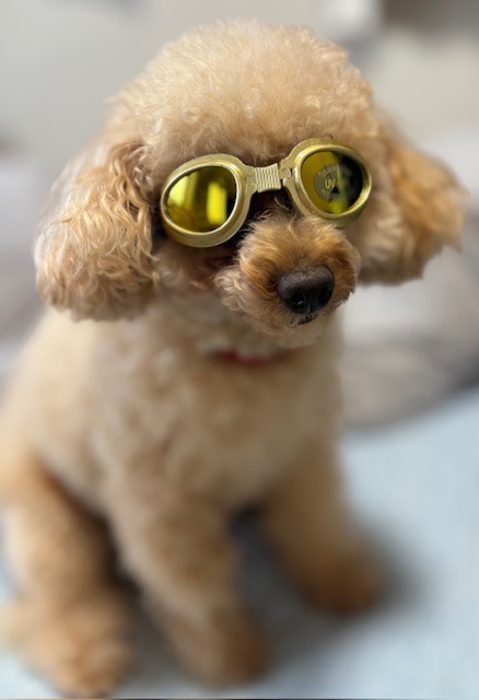 全体のレビュー画像 | 1-0