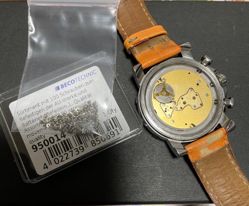 スイス製 電池押さえネジセット(約100個入り) 時計部品 修理部品 時計 