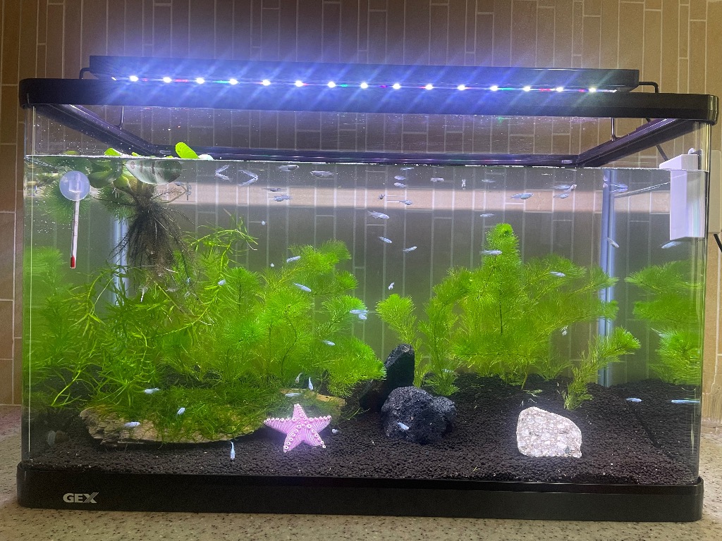 全体のレビュー画像 | 0-0