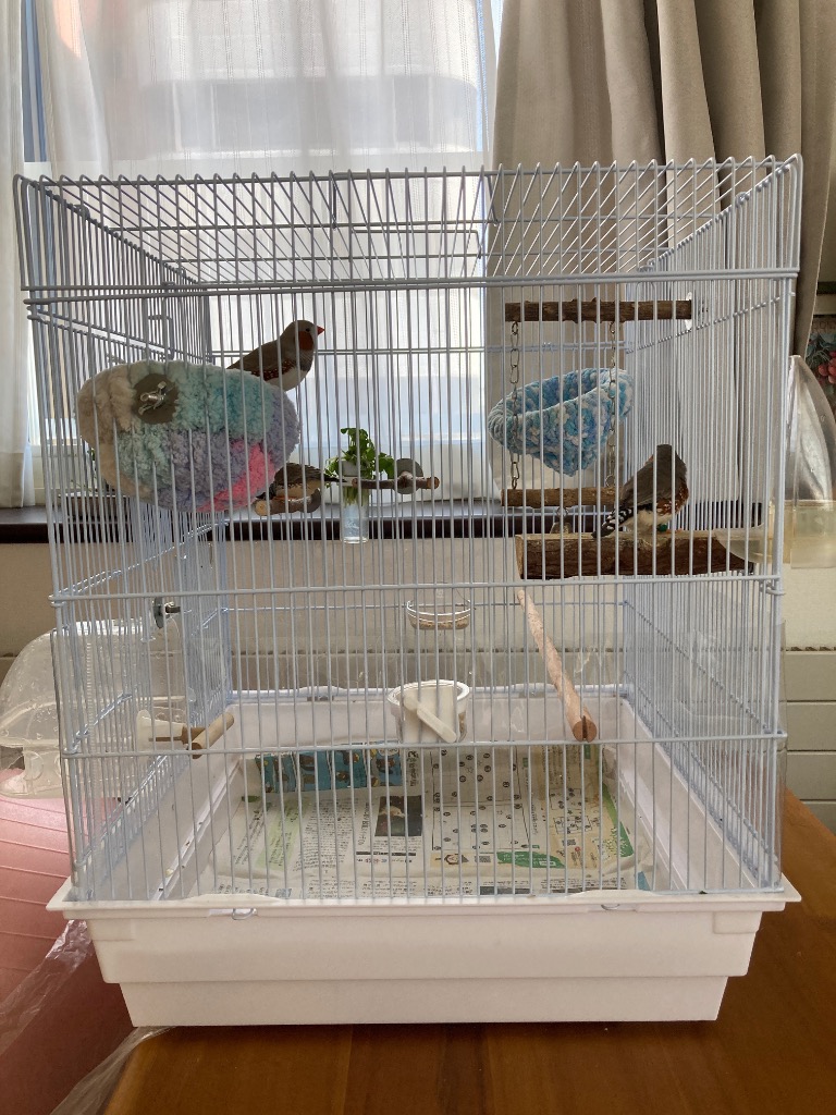 ペッズイシバシ 鳥籠 クオリス BIRD CAGE Q−465 （47