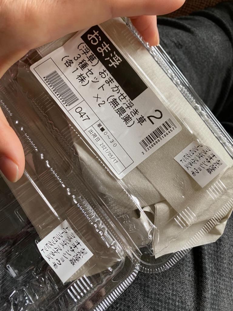 レビュー画像