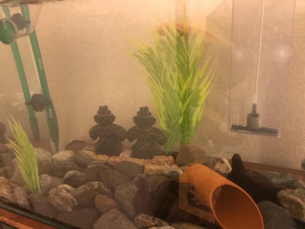 Leaf Corp 渓流石 No．15 約10kg サイズミックス 粒径約
