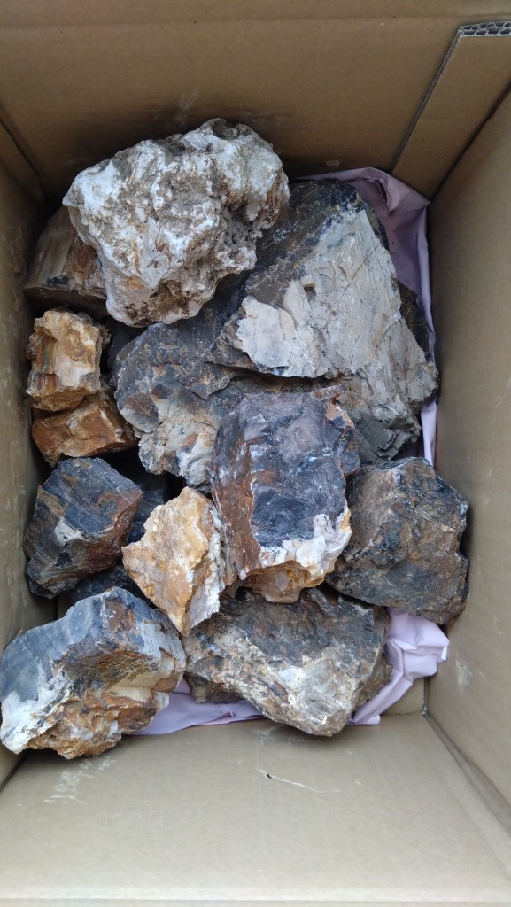 全体のレビュー画像 | 0-0