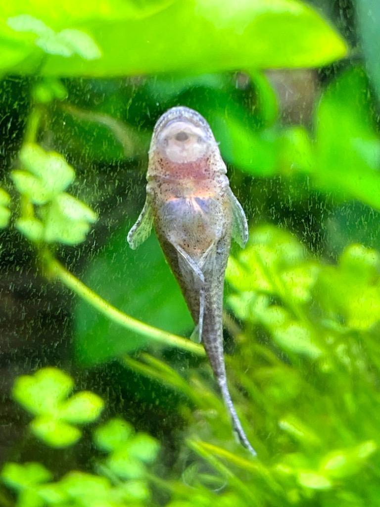 全体のレビュー画像 | 3-2