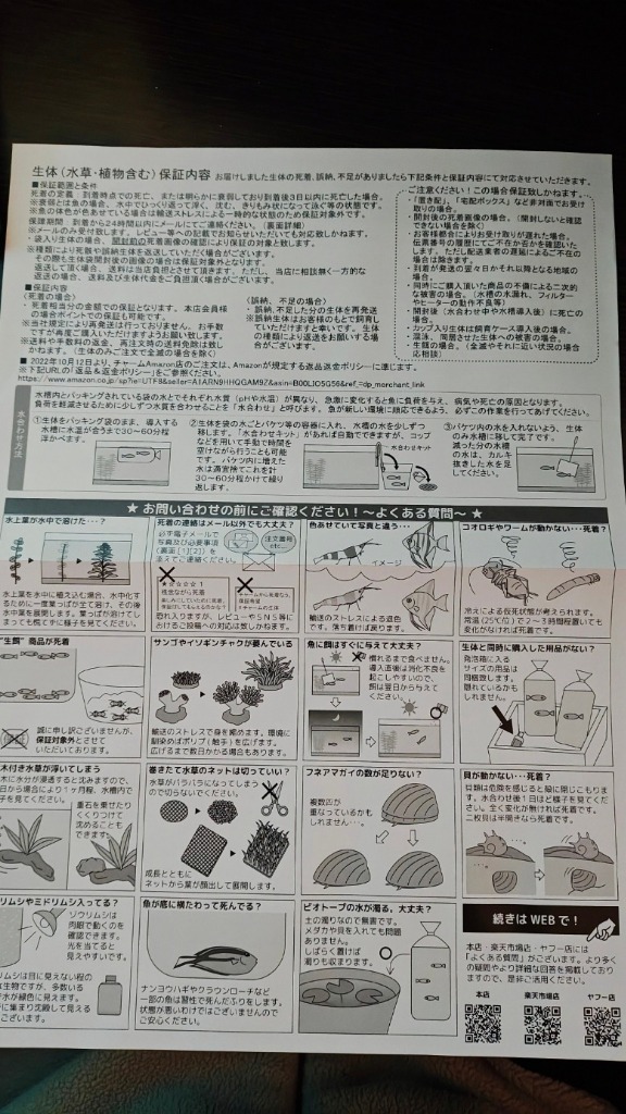 レビュー画像
