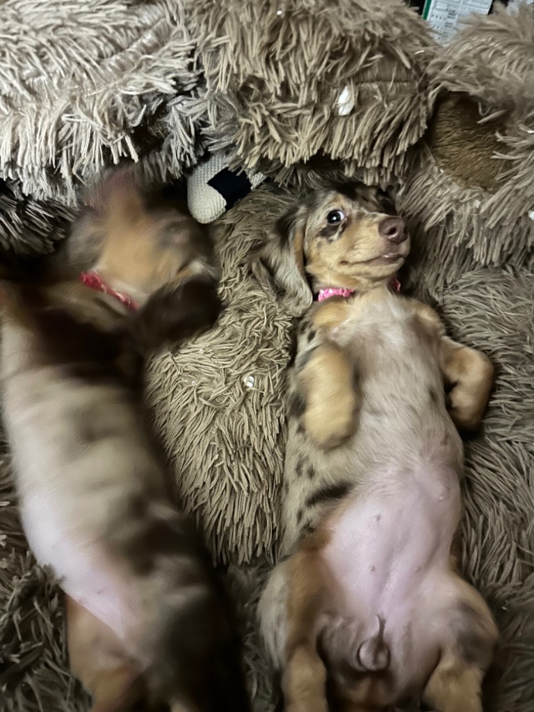 全体のレビュー画像 | 0-0