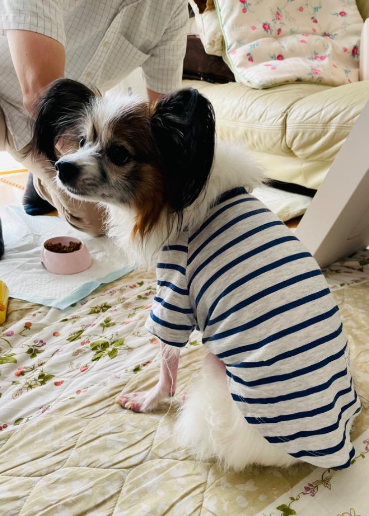 6件目のレビュー画像 | 0